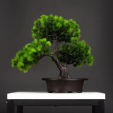 Bonsai Artificial Nanto Doca House 